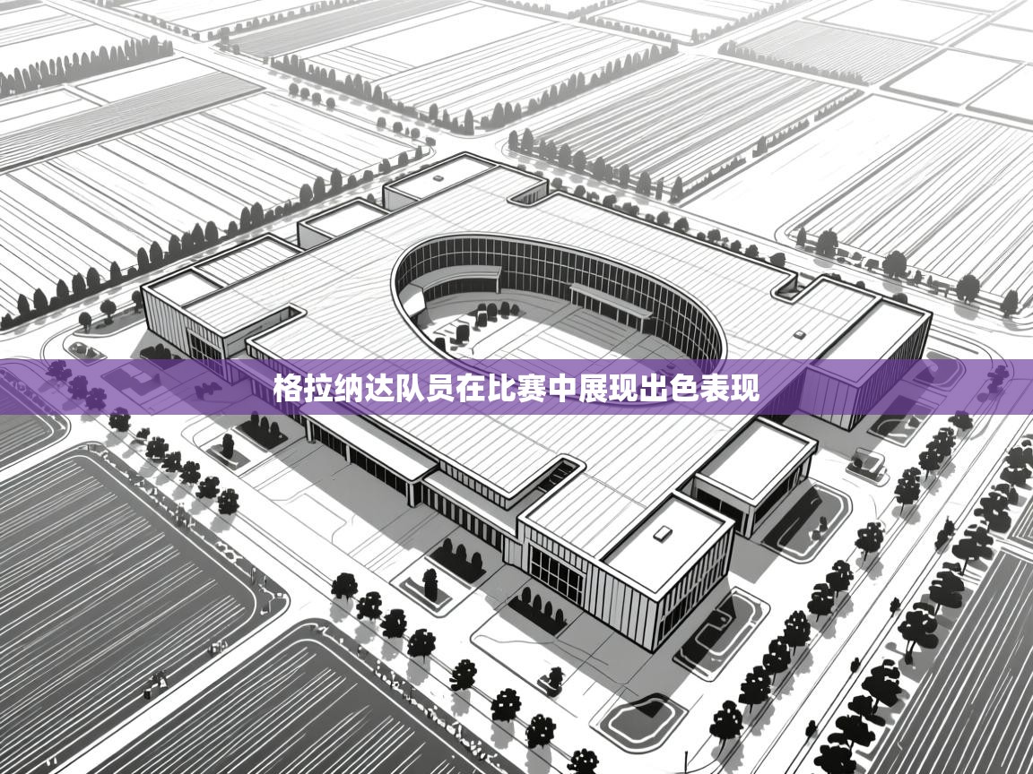 格拉纳达队员在比赛中展现出色表现  第1张