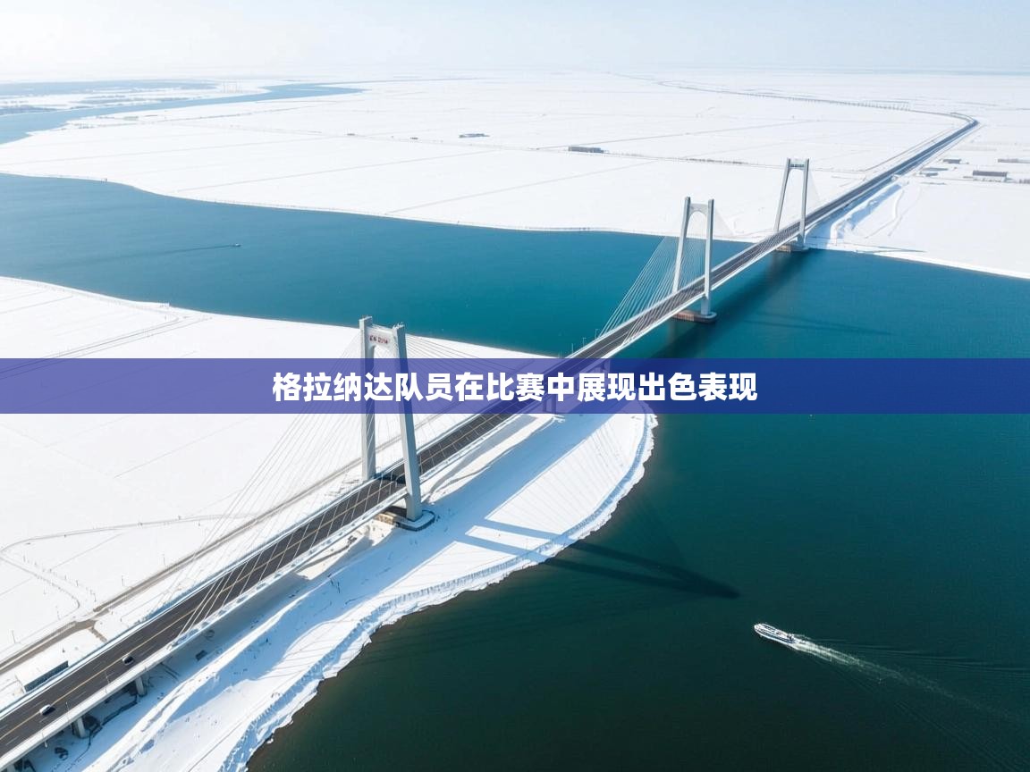 格拉纳达队员在比赛中展现出色表现  第2张