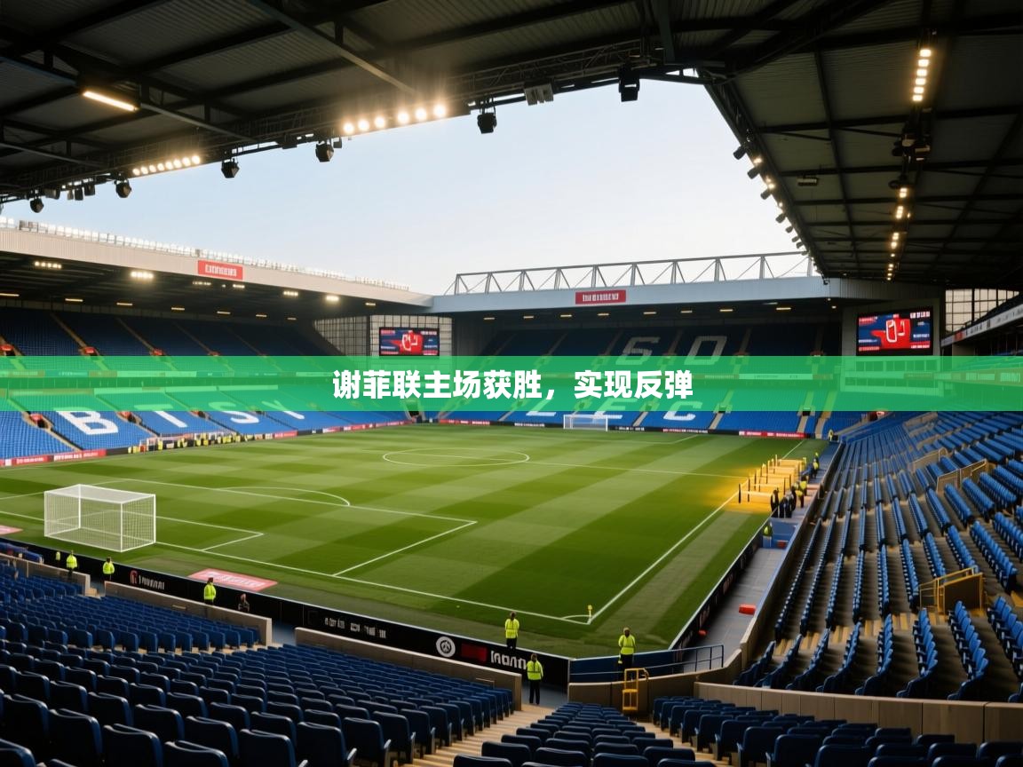 谢菲联主场获胜，实现反弹  第1张
