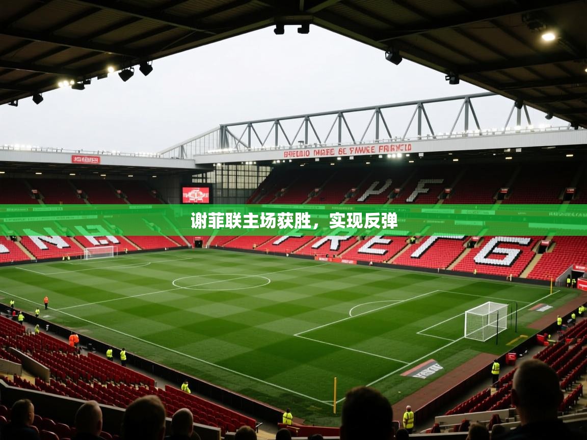 谢菲联主场获胜，实现反弹  第2张