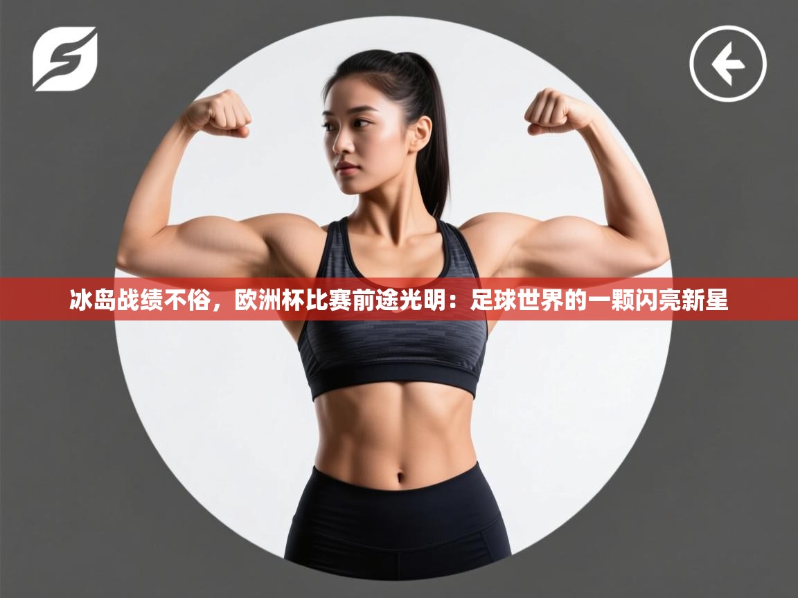 冰岛战绩不俗，欧洲杯比赛前途光明：足球世界的一颗闪亮新星  第2张